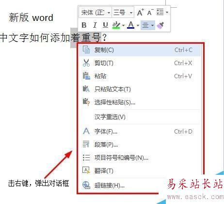word中文字如何添加着重号？