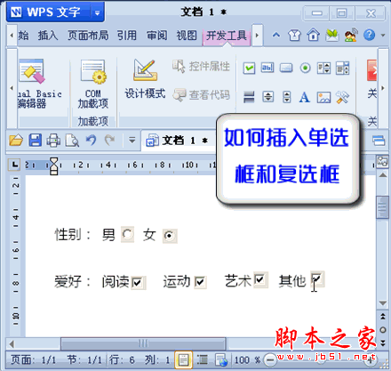 WPS文字技巧：如何插入单选按钮和复选框 错新站长站