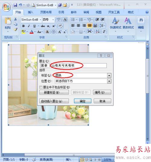 给word中的图片添加注释的方法