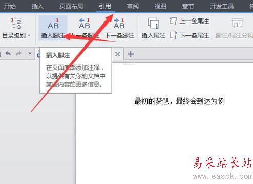 WPS office文档中如何插入脚注?