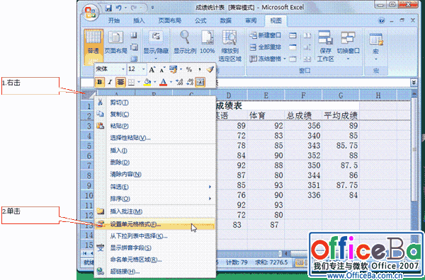 Excel2007中工作表怎么保护?  武林网