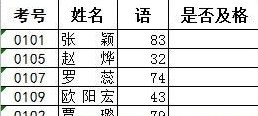 Excel函数IF怎么用2