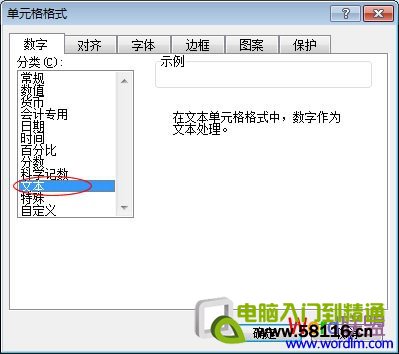 单元格格式