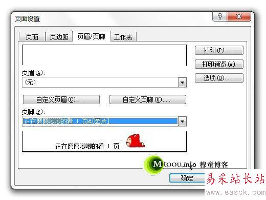 Excel的页码设置里面还可以插入图片哦
