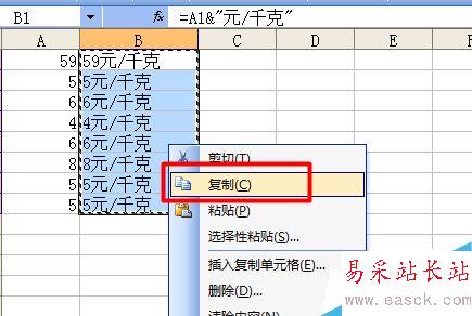 Excel如何在单元格内批量加前缀或后缀？