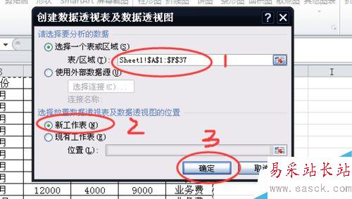 如何用EXCEL创建数据透视图