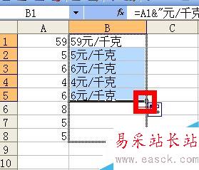 Excel如何在单元格内批量加前缀或后缀？