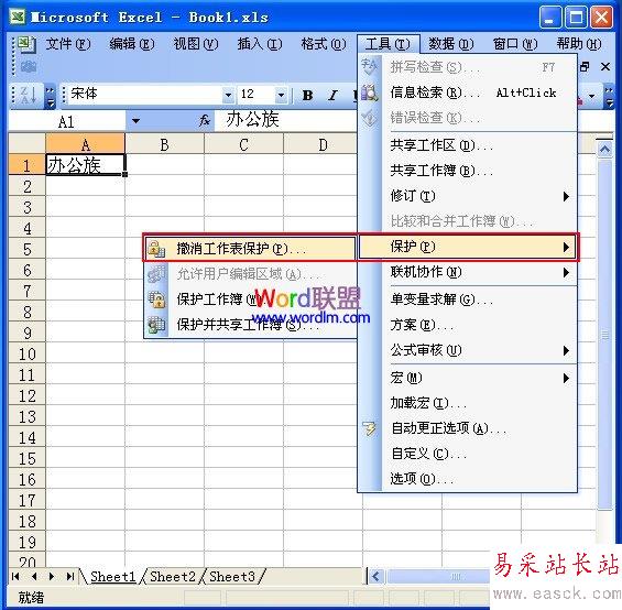 撤消工作表保护