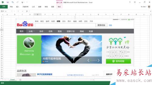 如何使用excel中的屏幕截图功能