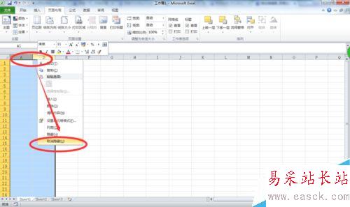 EXCEL表格隐藏行、列