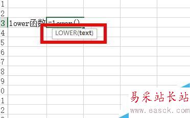 Excel中如何将文本转换为小写形式？