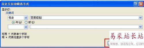 excel2010中对指定数据进行筛选的设置方法