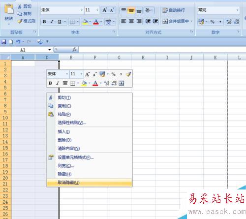 EXCEL中如何隐藏行列