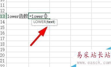 Excel中如何将文本转换为小写形式？