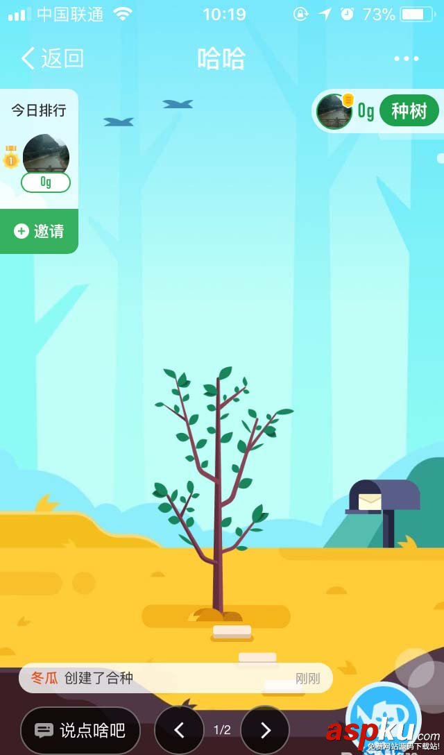 支付宝蚂蚁森林怎么与好友合种一棵树? 支付宝,蚂蚁森林