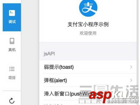 小程序,支付宝,微信
