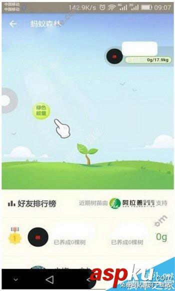 蚂蚁森林抢能量技巧,蚂蚁森林,能量