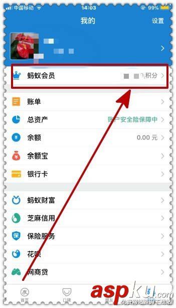 支付宝app蚂蚁积分怎么兑换双11购物津贴? 支付宝,积分,双11
