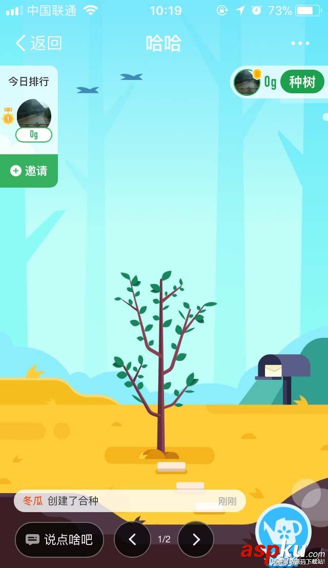 支付宝蚂蚁森林怎么与好友合种一棵树? 支付宝,蚂蚁森林