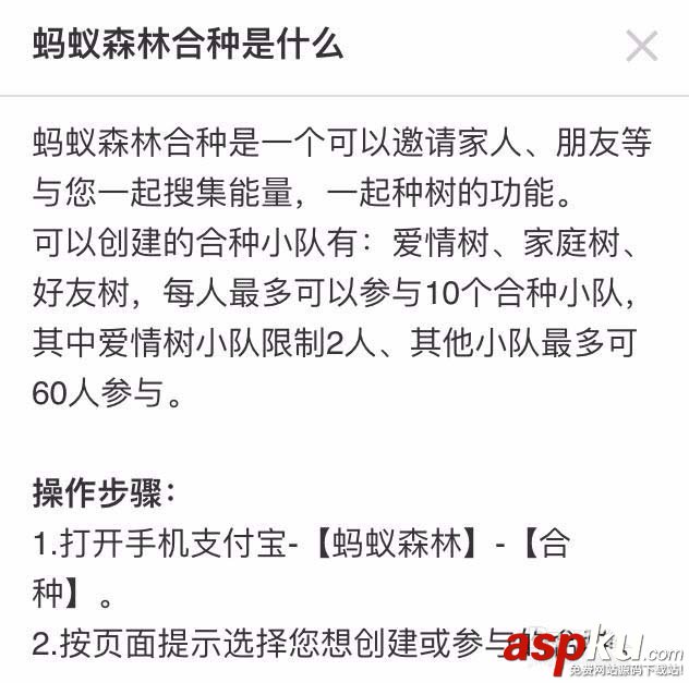 森林合种树有哪些技巧? 支付宝蚂蚁森林合种树攻略汇总 支付宝,蚂蚁森林