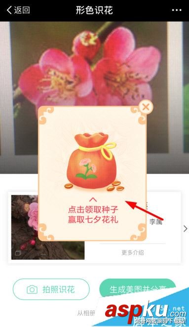 支付宝AR识花怎么玩 支付宝七夕ar识花玩法一览 支付宝,AR识花