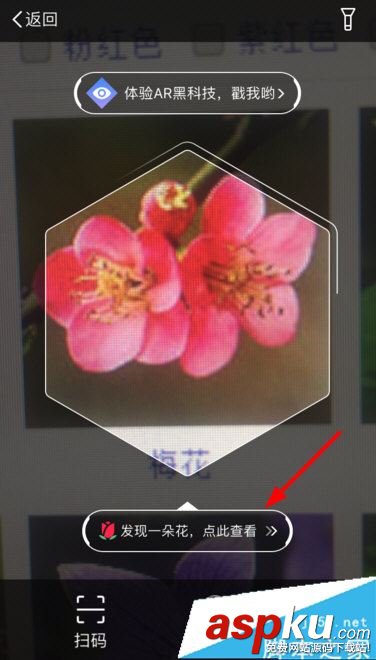 支付宝AR识花怎么玩 支付宝七夕ar识花玩法一览 支付宝,AR识花