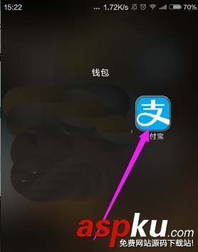 支付宝,金额