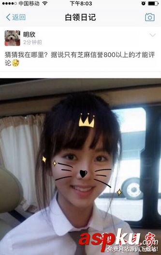 支付宝,白领,日记
