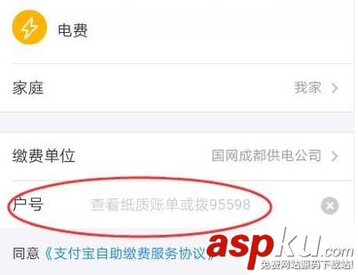 支付宝怎么查询每日用电量? 支付宝用电量查询的教程 支付宝,电量