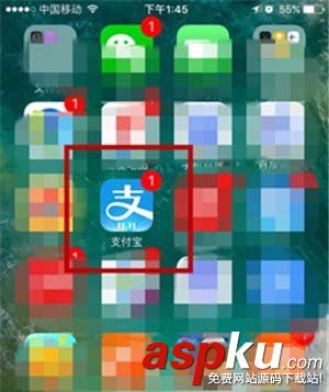 支付宝,红包,会员