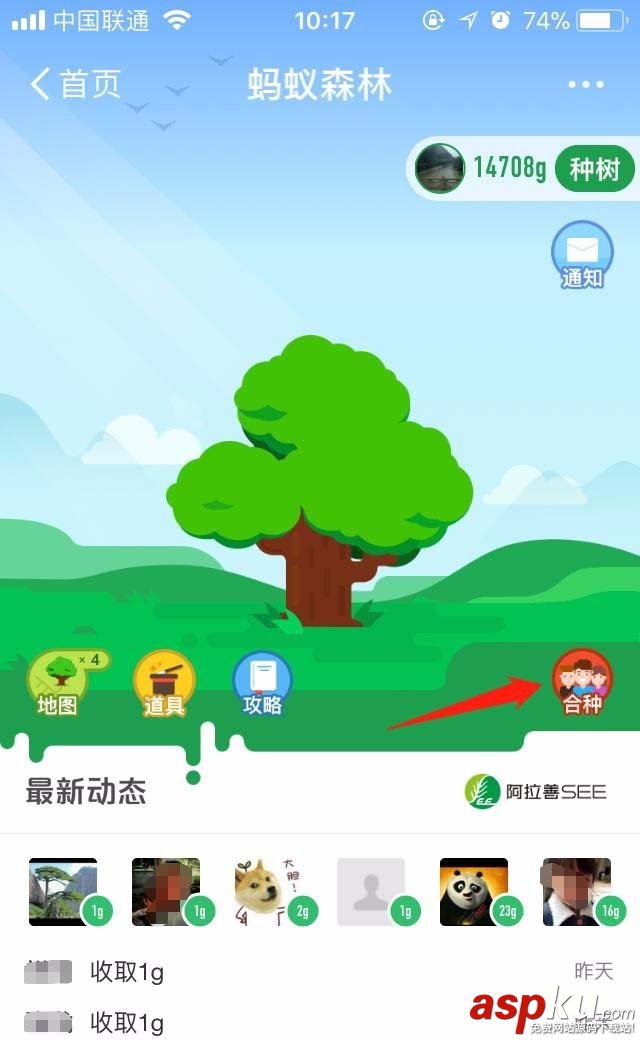 支付宝蚂蚁森林怎么与好友合种一棵树? 支付宝,蚂蚁森林