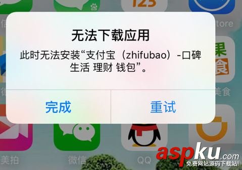支付宝,AppStore,下载
