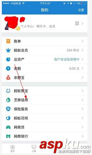 支付宝,芝麻信用