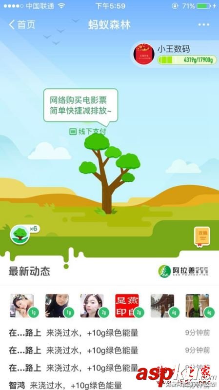 支付宝蚂蚁森林怎么玩,蚂蚁森林怎么刷能量快