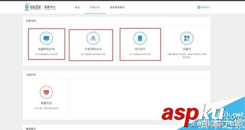 支付宝开放平台支付接口怎么申请?支付宝支付接口申请教程 支付宝,支付接口