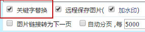 取消关键词替换