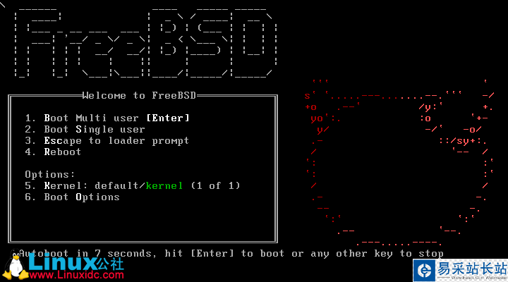 VMware虚拟机安装FreeBSD 12.1系统图文详解