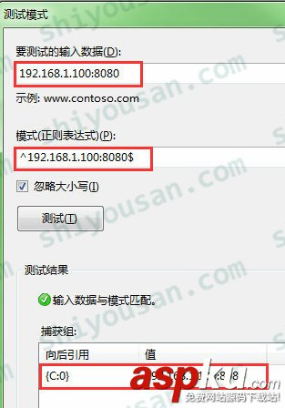 重定向URL,{R:N},{C:N},IIS