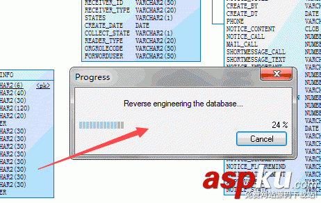 PowerDesigner,Oracle11g,Oracle