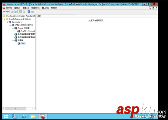 Windows,Sever,2012,Oracle,12c