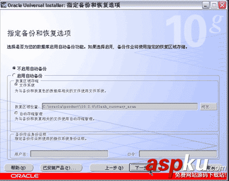 Oracle,10g,服务器