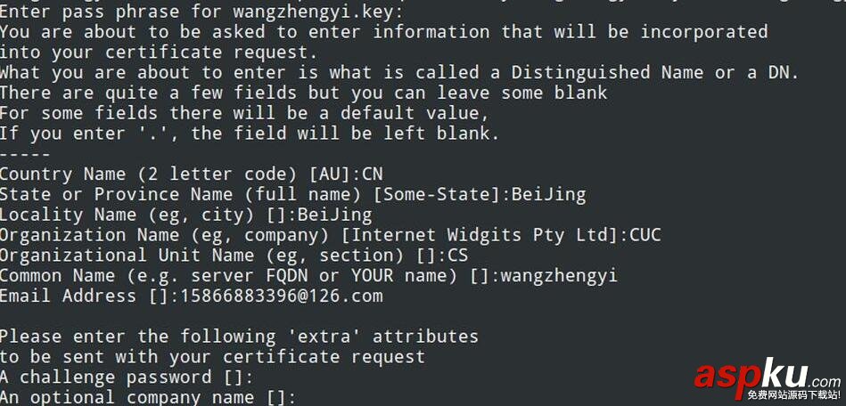 Nginx搭建https服务器,Nginx搭建https,Nginx搭建服务器教程