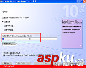 window,Oracle10g