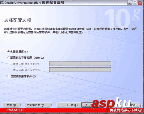 Oracle,10g,服务器