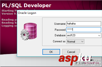 sql,developer数据库,pl,developer