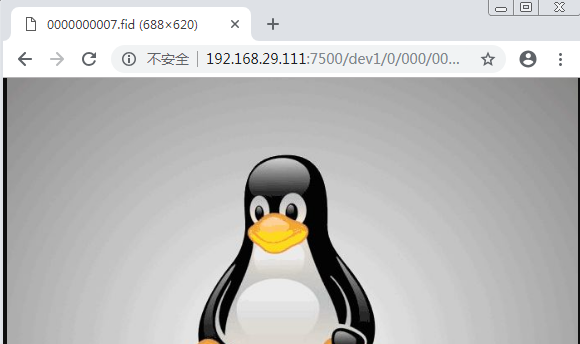 Nginx反代Mogilefs分布式储存示例详解 Nginx,Mogilefs,分布式储存