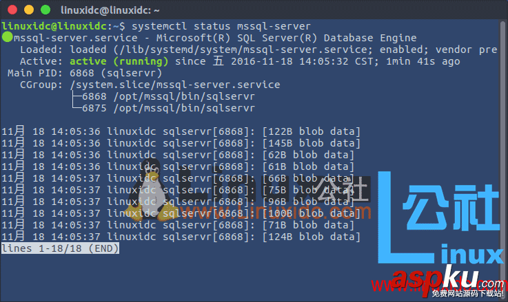 Ubuntu,安装,SQL,Server,SqlServer,for,Linux