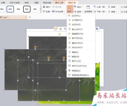 PPT图片由模糊到清楚怎么设置？