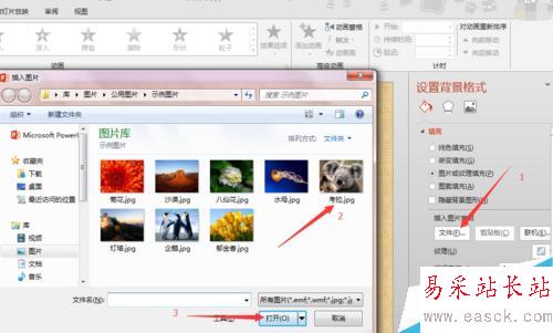 怎么给ppt设置背景图片