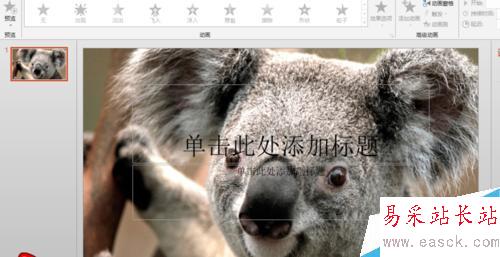 怎么给ppt设置背景图片